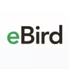 eBird by Cornell Lab app icon