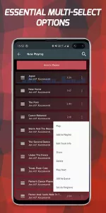 Pi Music Player app screenshot 5