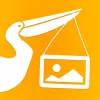 Pelipost app icon
