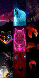 Wolf Wallpaper HD app screenshot 1