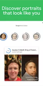 Google Arts & Culture app screenshot 9