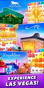 myVEGAS Bingo  app screenshot 18