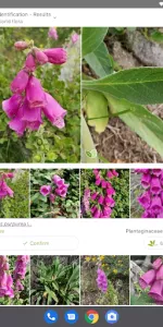 PlantNet Plant Identification app screenshot 6