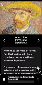 Van Gogh Immersive  app screenshot 5