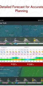 Windy.com  app screenshot 10