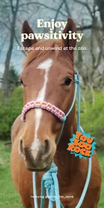 Zoo by Chewy  app screenshot 22