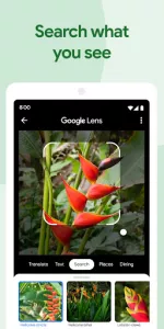 Google Photos app screenshot 3