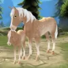 Horse Paradise app icon