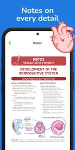 Osmosis Med Videos & Notes app screenshot 8