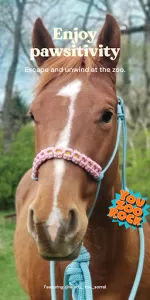 Zoo by Chewy  app screenshot 14