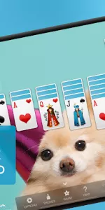 Spider Solitaire app screenshot 14