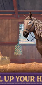 Star Equestrian  app screenshot 23
