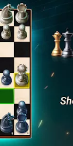 Chess  app screenshot 14