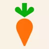 Instacart app icon