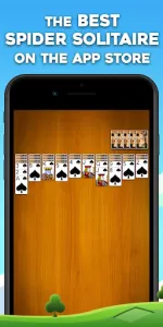 Spider Solitaire app screenshot 8