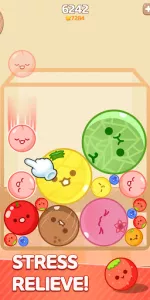 Melon Maker  app screenshot 8