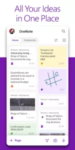 Microsoft OneNote app screenshot 1