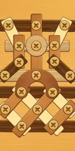 Screw Puzzle app screenshot 5