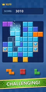 Block Puzzle app screenshot 3