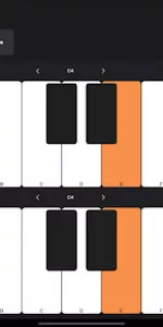 Flip Sampler app screenshot 15