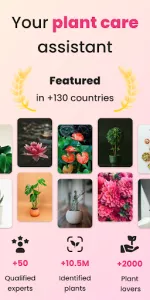 PlantIn Plant Identifier, Care app screenshot 20
