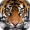 Ultimate Tiger Simulator 2 app icon