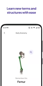 Daily Anatomy Flashcards app screenshot 3