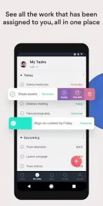 Asana app screenshot 4