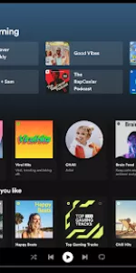 Spotify app screenshot 21