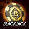 Blackjack  app icon