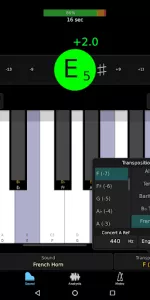TonalEnergy Tuner & Metronome app screenshot 7