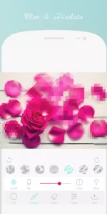Blur and Pixelate app screenshot 2