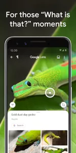 Google Lens app screenshot 8