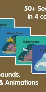 Learn Ocean Animals for kids app screenshot 19