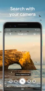 Google Lens app screenshot 1