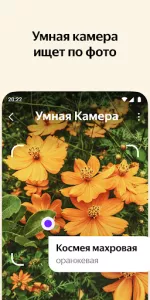 Яндекс  app screenshot 3