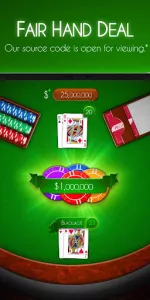 Blackjack!  app screenshot 7