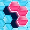 Block! Hexa Puzzle app icon