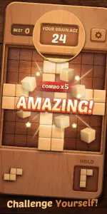 Wood Block Puzzle 3D app screenshot 15