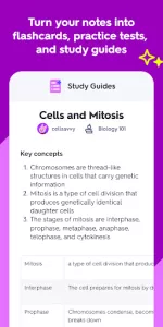 Quizlet app screenshot 2