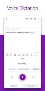 Microsoft OneNote app screenshot 4