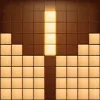 Wood Block Puzzle 3D app icon