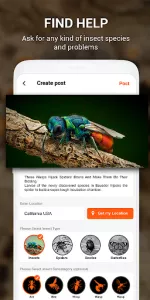 Insect identifier by Photo Cam app screenshot 21