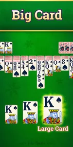 Vita Spider Solitaire app screenshot 2