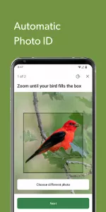 Merlin Bird ID by Cornell Lab app screenshot 6