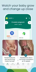 Pregnancy App & Baby Tracker app screenshot 2