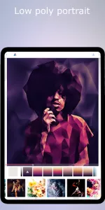 Low Poly  app screenshot 12