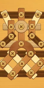 Screw Puzzle app screenshot 13