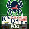 Vita Spider Solitaire app icon