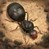 The Ants app icon